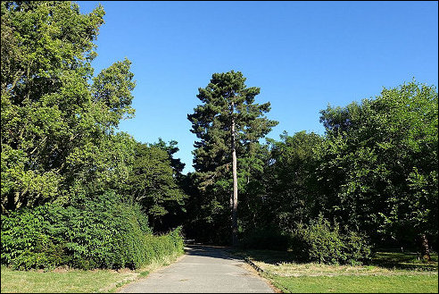 Bois de Boulogne in Parijs