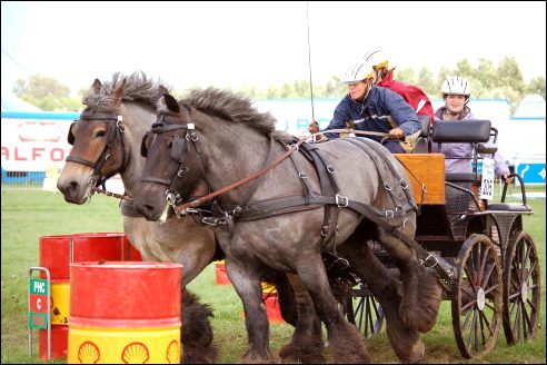 Power Horse Horsterpark Duiven