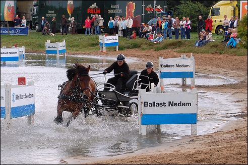 Power Horse Horsterpark Duiven