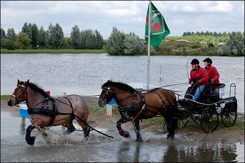 Power Horse Horsterpark Duiven