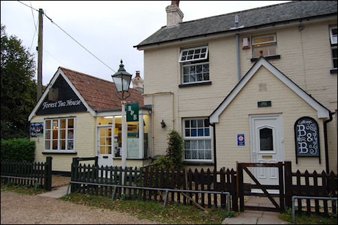 New Forest Tearoom