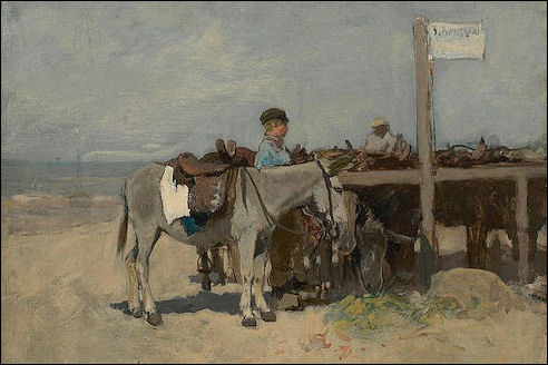 Ezelstandplaats op het strand in Scheveningen