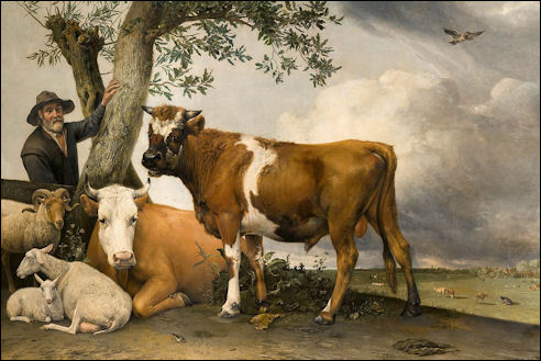 De stier van Paulus Potter