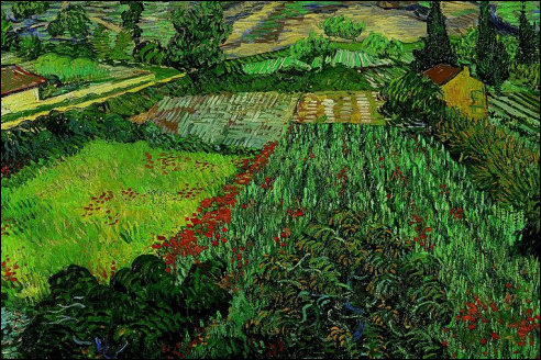 Vincent van Gogh: Veld met klaprozen