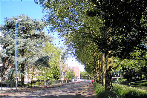 Catharijnesingel in Utrecht